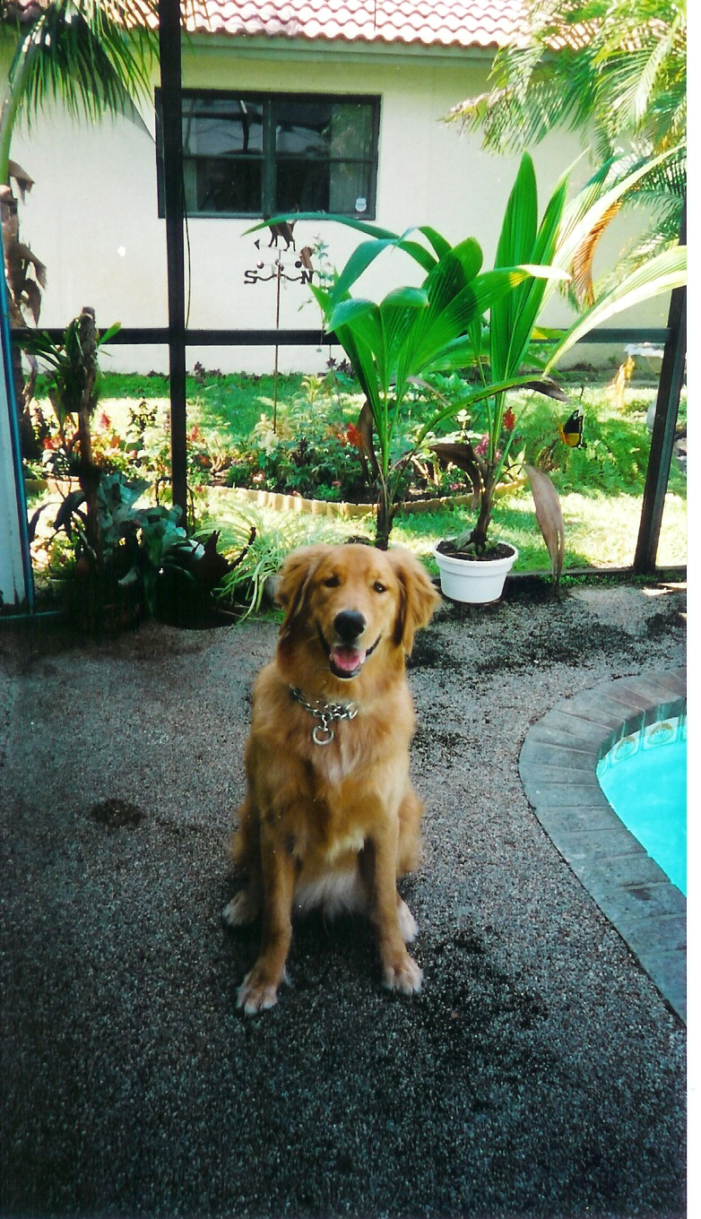 scan0029.jpg