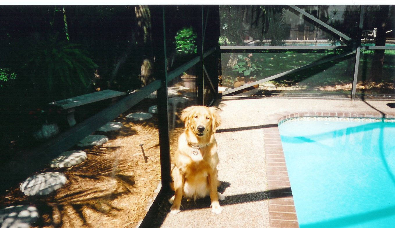 scan0030.jpg